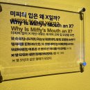 [인사동나들이] 미피70주년 생일 기념전 &#39;미피와 마법우체통&#39; 관람기
