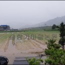 풍동농장 이미지