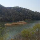 충북 증평 좌구산.민속박물관.인삼축제 이미지