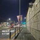 가수원로-8 | [수영/수린이 수영준비물/습식타올 사용법] 왓츠 인 마이 스윔백 ?