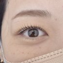 사림동122 | 창원 속눈썹펌 속눈썹연장, 자연스럽게 원한다면 더나인