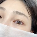 보니떼 이미지