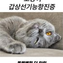 동물병원 더 하임 이미지