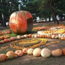 하동슈퍼 이미지