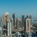 정자일로 이미지