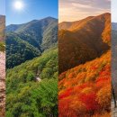 고창 선운산 초보자도 쉽게 도전 가능한 등산코스 이미지