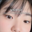 시흥능곡역 무쌍 속눈썹펌 또렷한 눈매 완성 달록부띠끄 내돈내산 후기