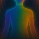 디팩셀프 이미지