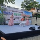 북