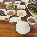 자연 이(e) 래 이미지