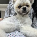 보스뷰티랩 이미지
