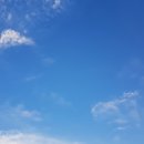 블로그 글쓰기, 언노마드스쿨 블로그 글쓰기 30일 강의 후기