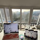 대명노르웨이숲 이미지