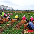군산한일농장 이미지