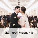 모머니티스냅