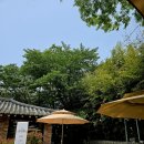 아산 도고 맛집 사계 쭈꾸미와 카페 내돈내산후기 정원과 대나무가 있는 대형 카페