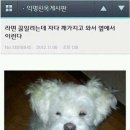 같이 이미지