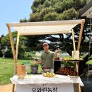 온양 | 온양마켓 온양민속박물관 마켓 참여 후기 부스 관람