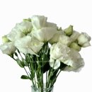 남대문시장4길 | 남대문꽃시장 4월 마지막주 가격 꽃 종류 후기