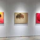 비오케이아트 이미지