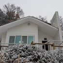 김중현 농장 이미지