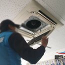 태종대중학교 이미지