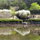 무네미길 이미지