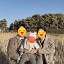 다시봄스냅