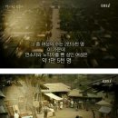 천년전 삼천궁녀로 유명한 백제왕의 진실 이미지