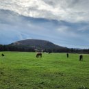 숙영목장 이미지