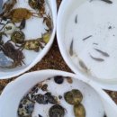 견내량민박 이미지