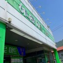 라온힐펜션 | [내돈내산] 라온힐 캠핑장 - 경기 가평 2박 3일 전세캠핑 후기 🏕 1편