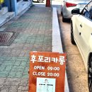 후포리카롱 이미지