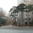 대도공인중개사사무소 이미지