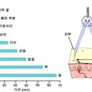 플루즈