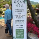 아이랑 가기좋은 블루리본 야외정원 힐링카페 파인트리하우스 외부음식반입 주차정보 내돈내산 솔직후기