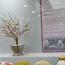 종로떡 이미지