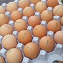 고운 농장 이미지