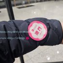 홍콩공항에서 마카오 직통버스 무료 프로모션 다시 시작안내 ( 2024.02-8월까지 진행됩니다 )