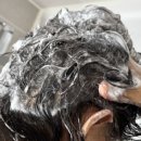 황제 공진보단 이미지