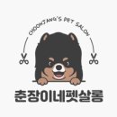오구오구 펫살롱 | ■춘장이네펫살롱■말티즈미용/6mm얼컷 후기