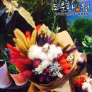 도운화원