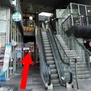 색갈은짙은갈색 이미지