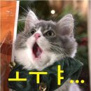 서정기농장 이미지