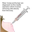 방주동물의료센터 이미지