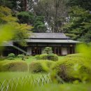 파라다이스여관 | 일본식 료칸 분위기 국내 숙소 , 국내료칸 추천