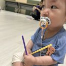 이마트 봉담점 | [문센후기] 반짝반짝 똘망이 이마트 봉담점 후기