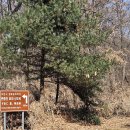 오정대공원 이미지