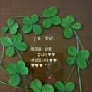 내입클로버