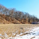 조안1리 이미지